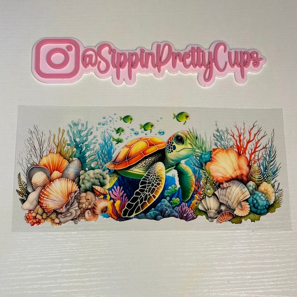 Animals / Sea Turtle