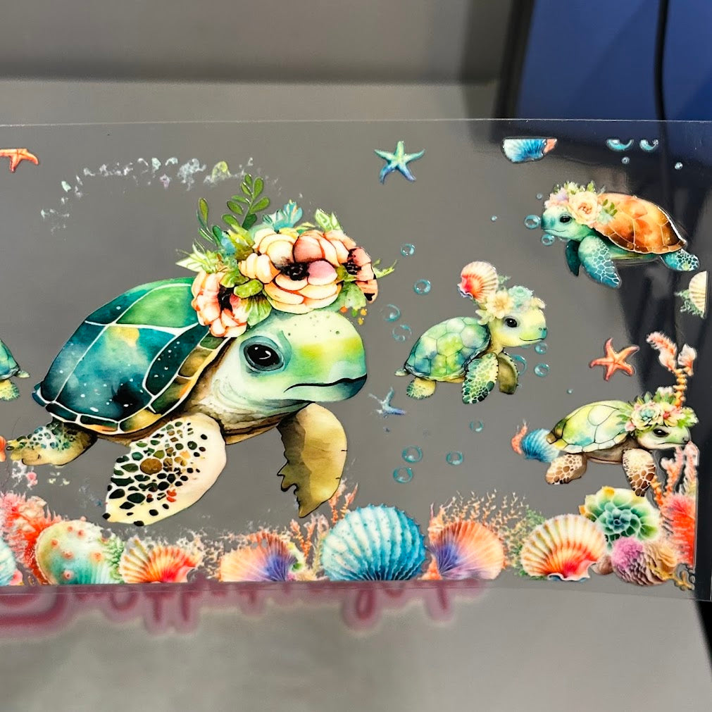 Animals / Sea Turtles