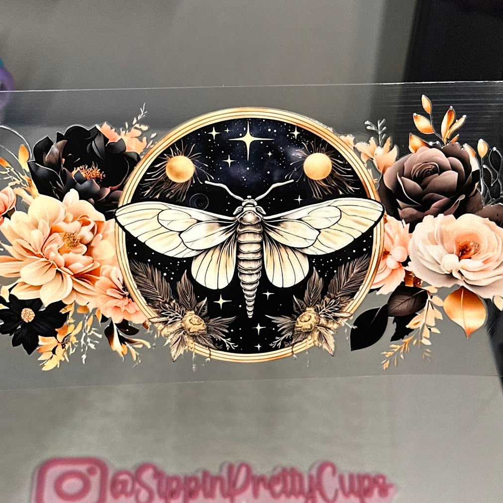 Butterflies / Moth