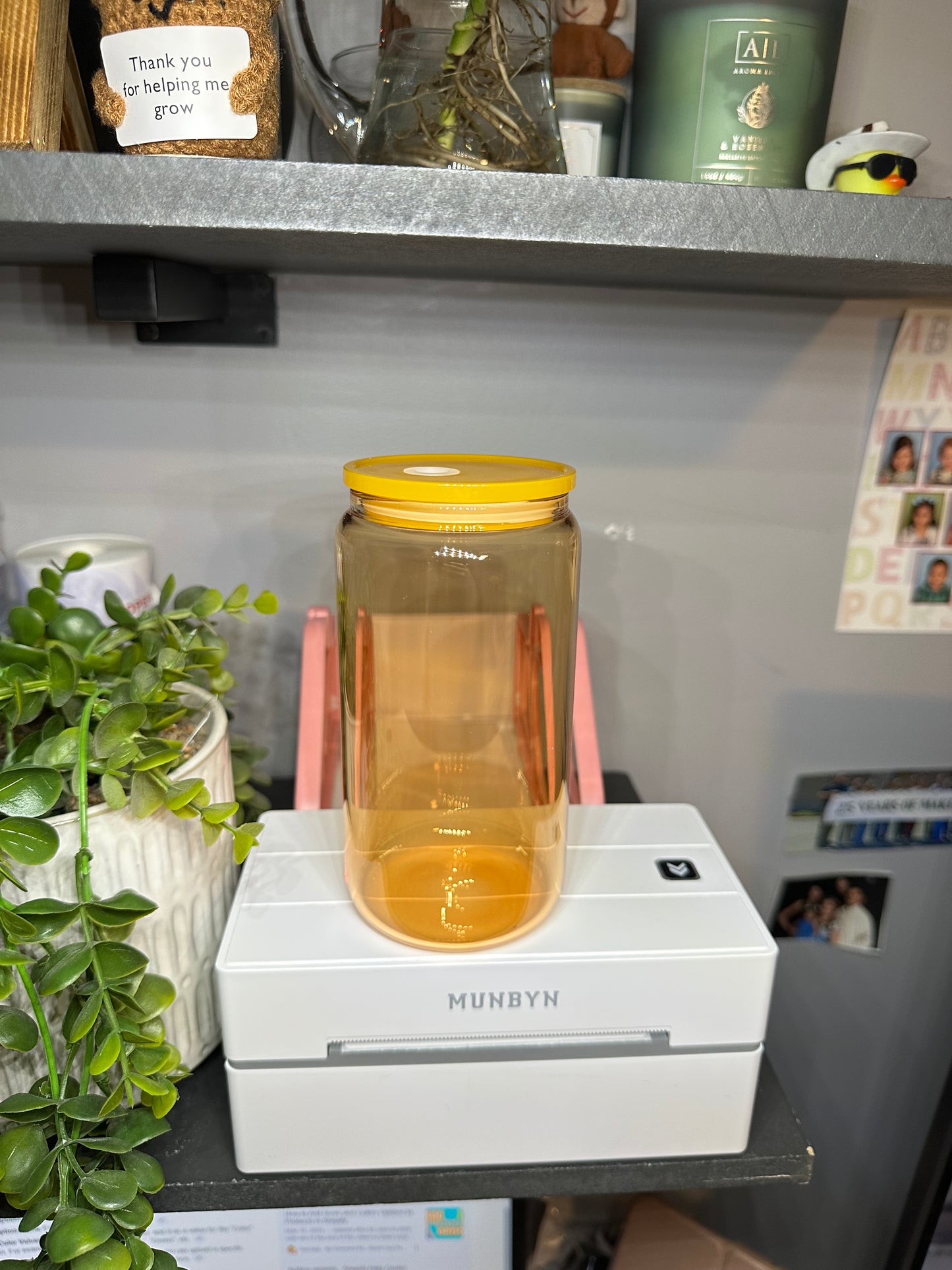 16oz Colored Jelly Glass