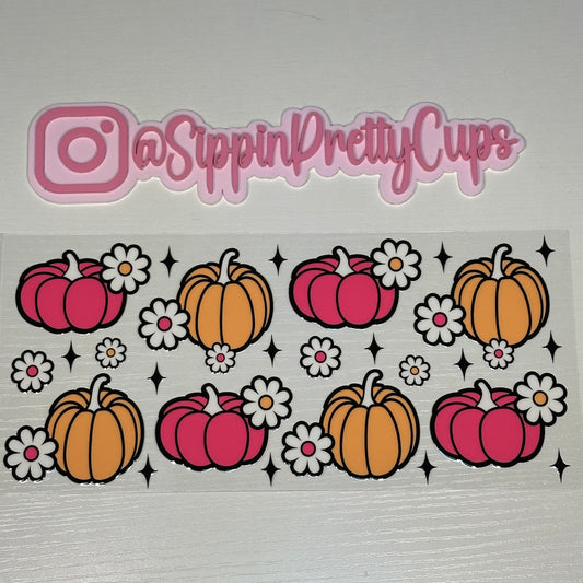Fall / Orange and Pink Pumpkins