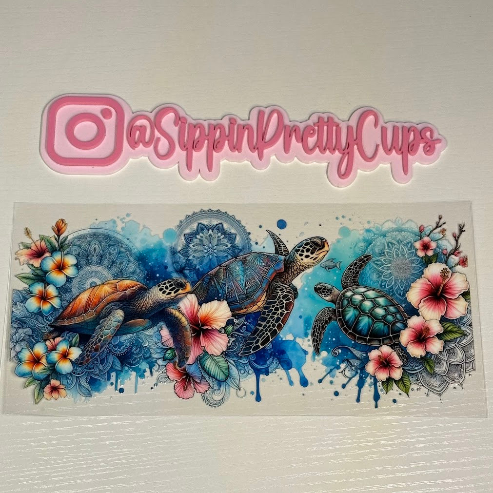 Animals / Sea Turtles