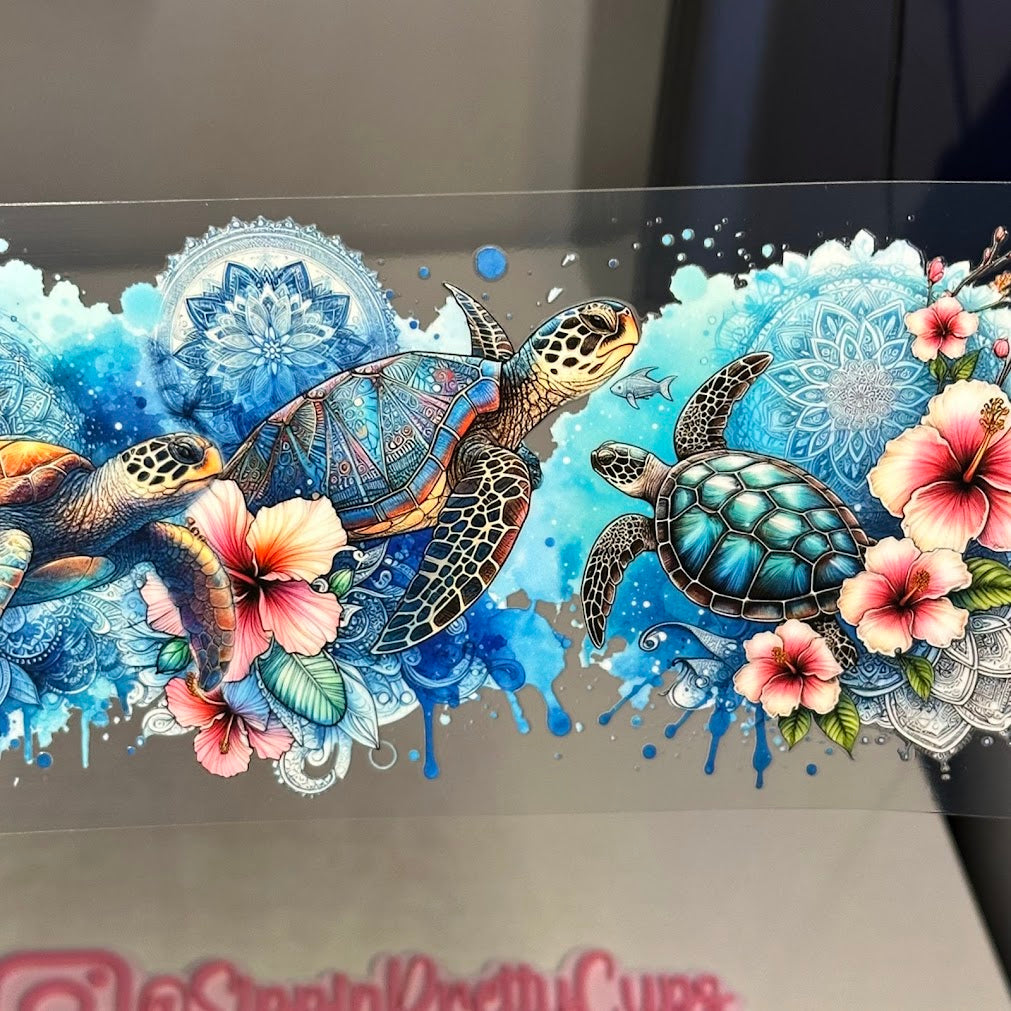 Animals / Sea Turtles