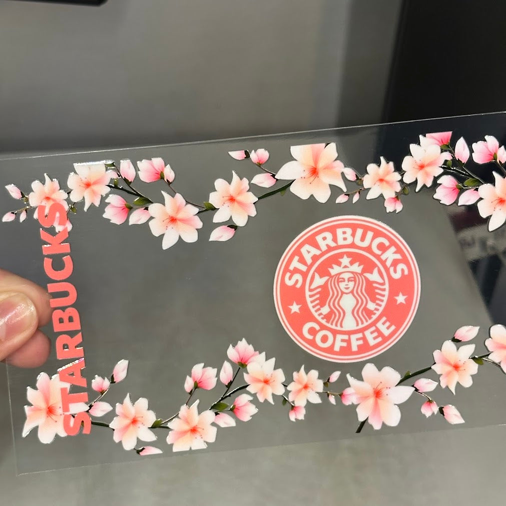 Drinks / Starbucks Cherry Blossom