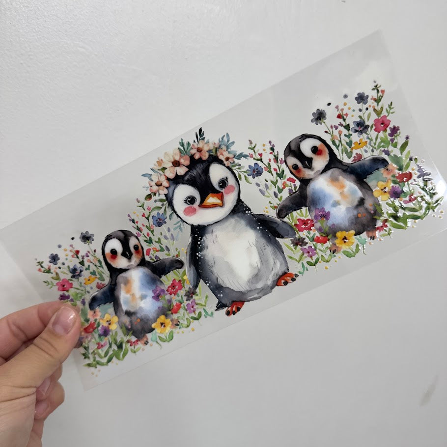 Animals / Penguins