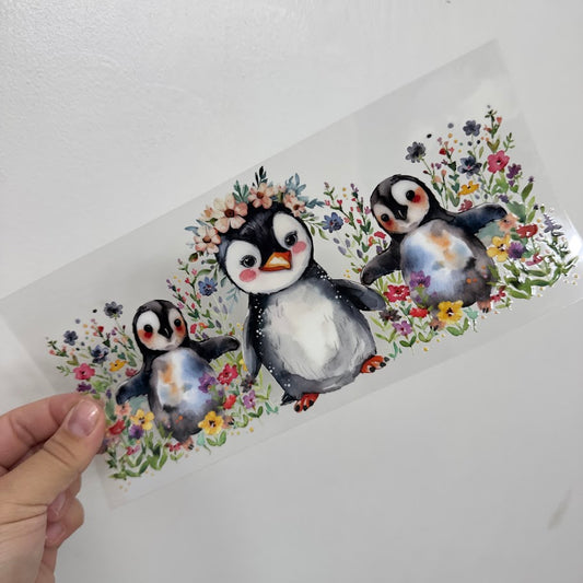 Animals / Penguins